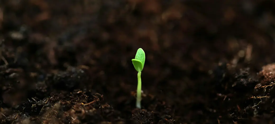 Nationale Klimaatweek 2024